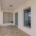 Olive Garden Luxury Apartmán *
